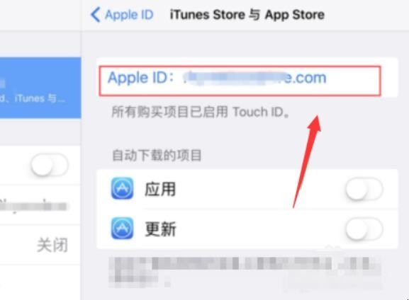 怎样删除ipad的ID「ipad怎么删除apple id账号」(图4)