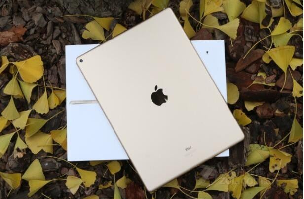ipad连接了wifi却不能上网(ipad不自动连接wifi)是什么原因
