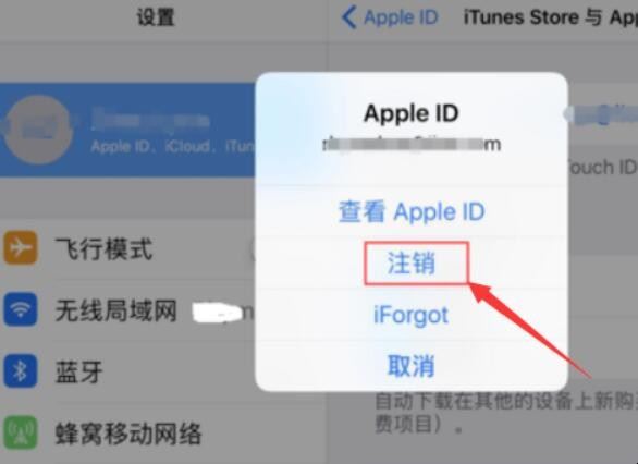 怎样删除ipad的ID「ipad怎么删除apple id账号」(图5)