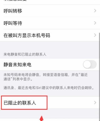 iphone11怎么看电话黑名单（iphone12查看黑名单来电次数）(图2)