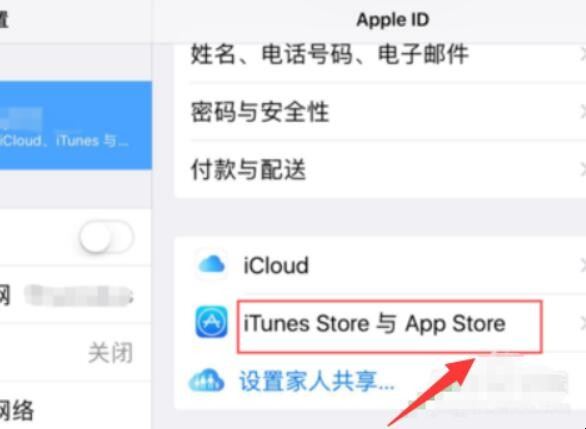 怎样删除ipad的ID「ipad怎么删除apple id账号」(图3)