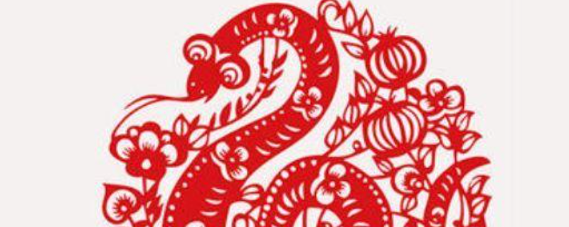 中药是特打一生肖（中药,打一生肖）