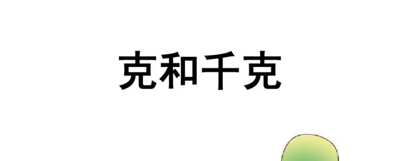 9g是多少斤 1000g是多少斤