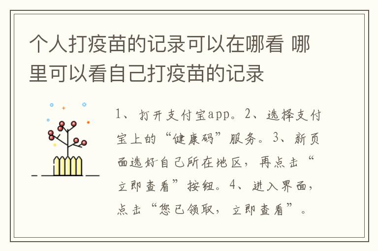 个人打疫苗的记录可以在哪看 哪里可以看自己打疫苗的记录