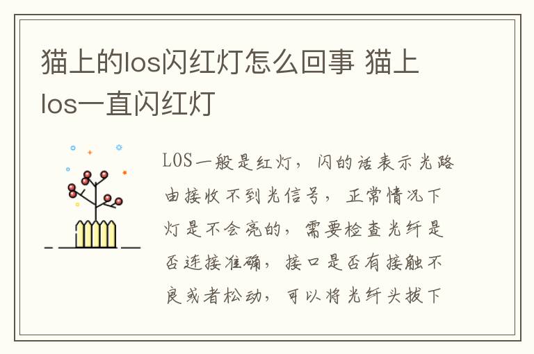 猫上的los闪红灯怎么回事 猫上los一直闪红灯