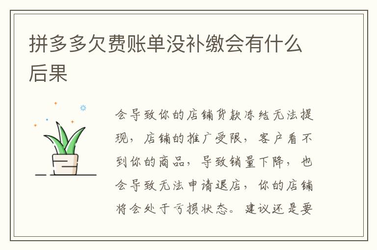 拼多多欠费账单没补缴会有什么后果