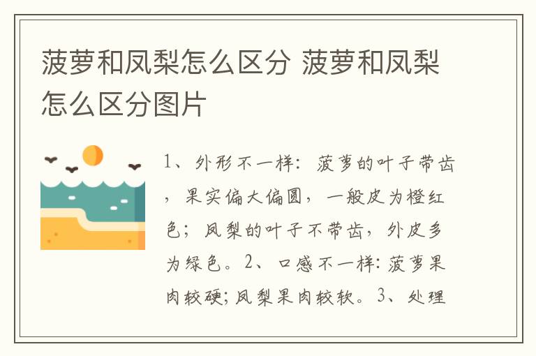 菠萝和凤梨怎么区分 菠萝和凤梨怎么区分图片