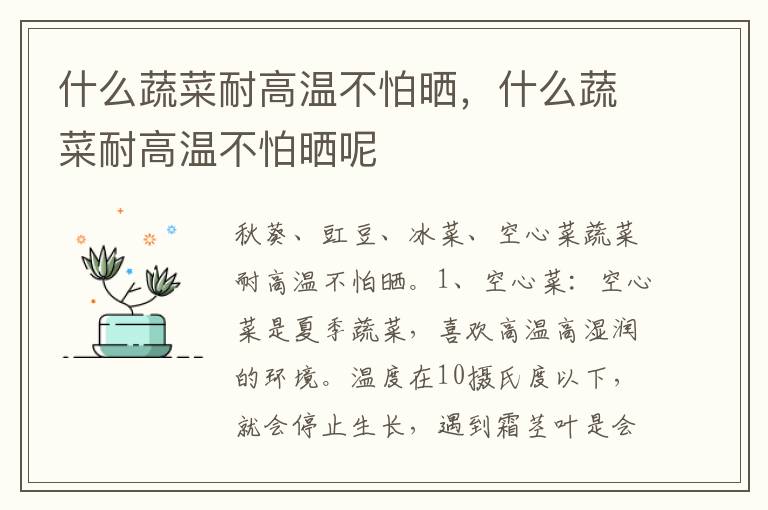 什么蔬菜耐高温不怕晒，什么蔬菜耐高温不怕晒呢