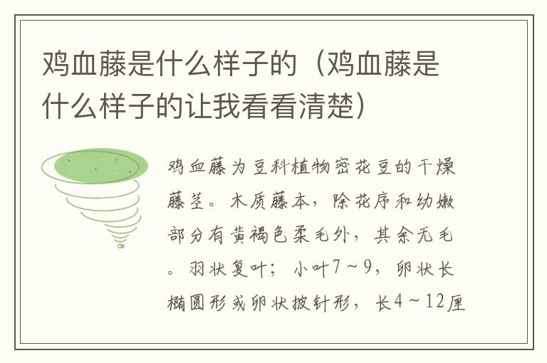 鸡血藤是什么样子的（鸡血藤是什么样子的让我看看清楚）