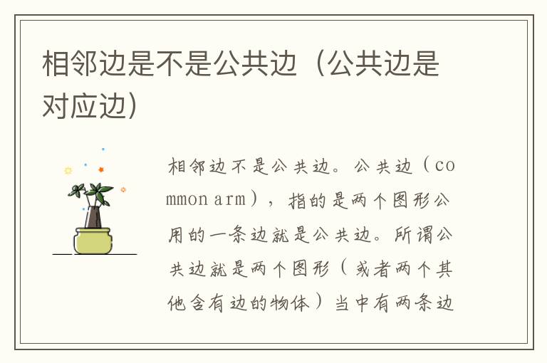 相邻边是不是公共边（公共边是对应边）