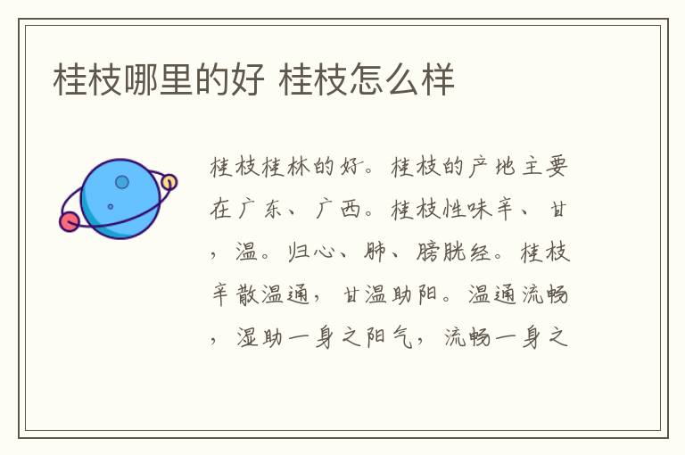 桂枝哪里的好 桂枝怎么样