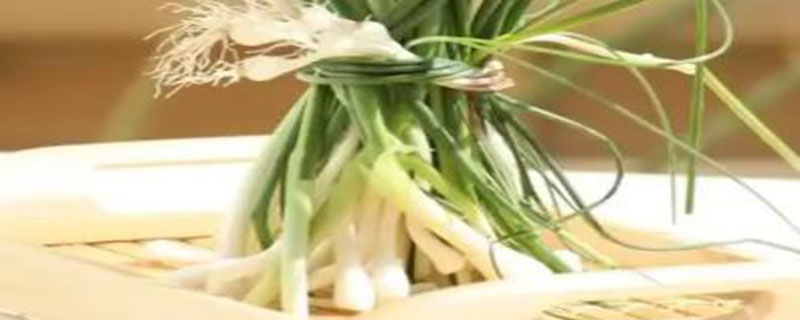 野蒜怎么保存方法（野蒜怎么做好吃保存久）