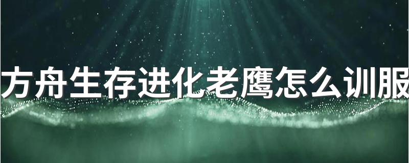 方舟生存进化老鹰怎么训服 方舟生存进化老鹰驯服方法详解