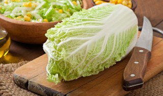 阳台种大白菜的方法 阳台上怎样种大白菜