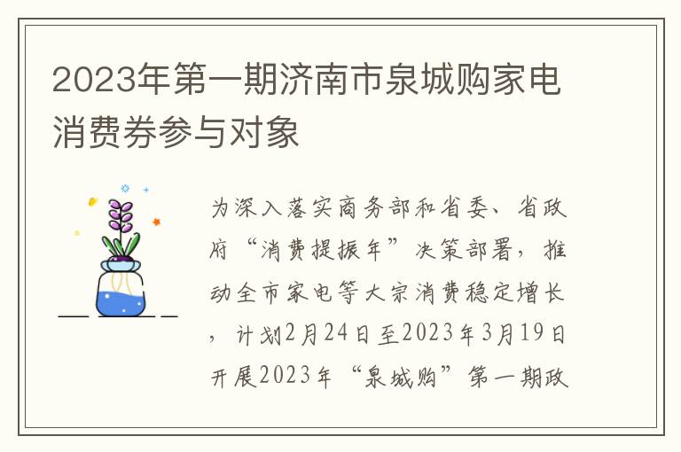 2023年第一期济南市泉城购家电消费券参与对象
