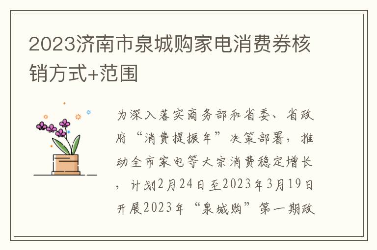2023济南市泉城购家电消费券核销方式+范围