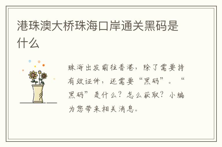 港珠澳大桥珠海口岸通关黑码是什么