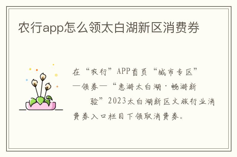 农行app怎么领太白湖新区消费券
