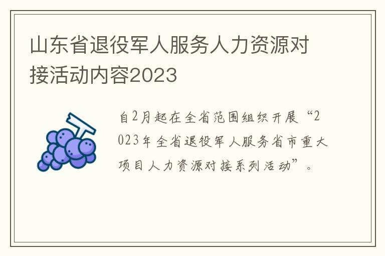 山东省退役军人服务人力资源对接活动内容2023