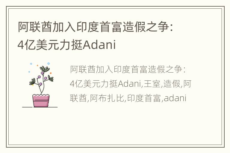 阿联酋加入印度首富造假之争：4亿美元力挺Adani