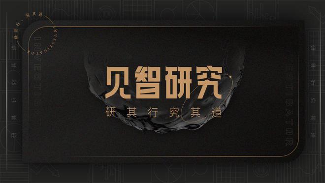 光伏诸多环节供应过剩，石英股份为何一枝独秀？丨见智研究