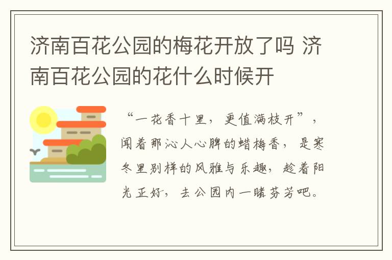 济南百花公园的梅花开放了吗 济南百花公园的花什么时候开