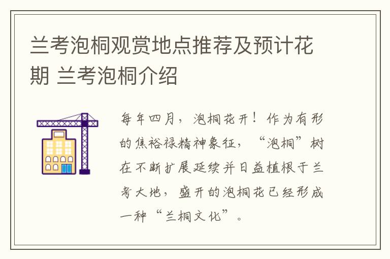 兰考泡桐观赏地点推荐及预计花期 兰考泡桐介绍