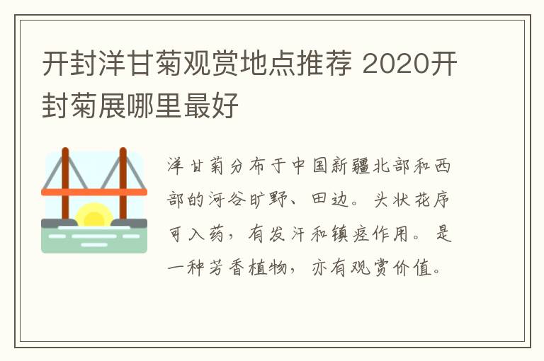 开封洋甘菊观赏地点推荐 2020开封菊展哪里最好