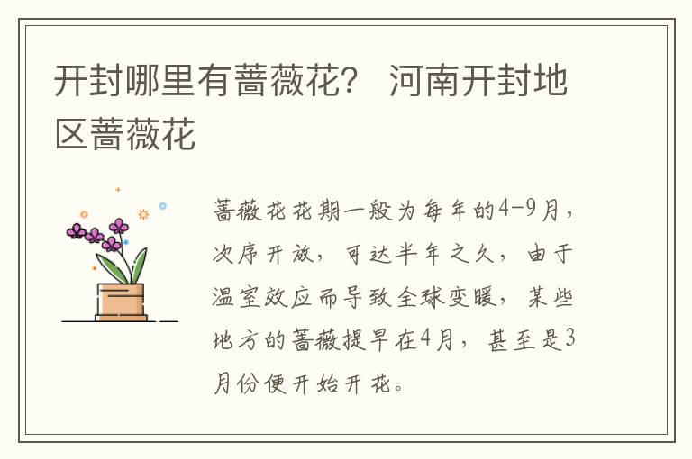 开封哪里有蔷薇花？ 河南开封地区蔷薇花