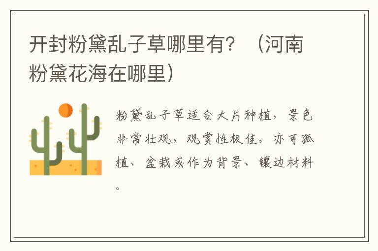 开封粉黛乱子草哪里有？（河南粉黛花海在哪里）