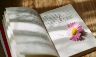 洛阳陌李白的古诗的意思（李白《洛阳陌》）
