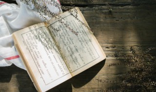 虎落平阳下一句是什么 虎落平阳被犬欺的上一句