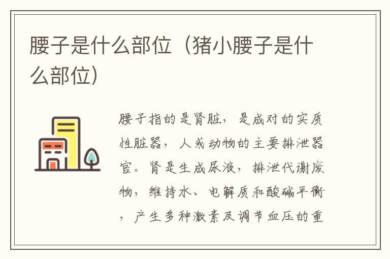 腰子是什么部位（猪小腰子是什么部位）
