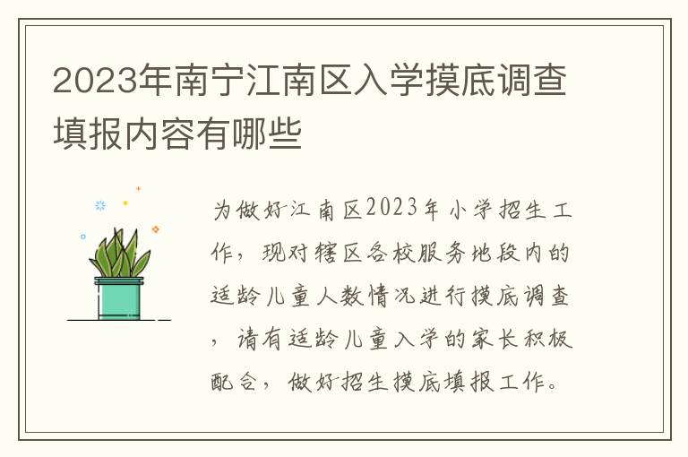 2023年南宁江南区入学摸底调查填报内容有哪些