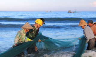 裸藻在水产养殖中的危害 裸藻在水产养殖中的危害有哪些