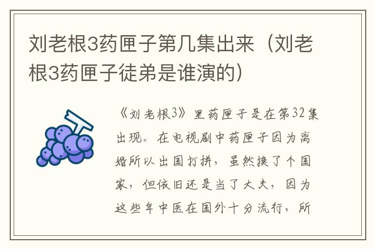 刘老根3药匣子第几集出来（刘老根3药匣子徒弟是谁演的）