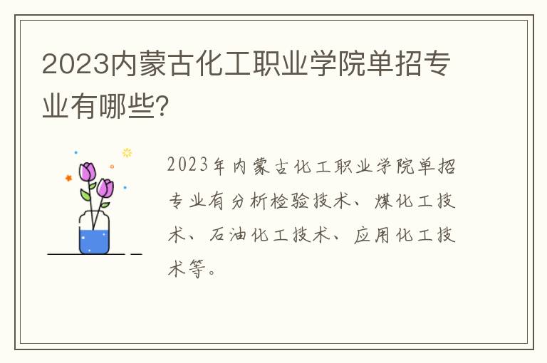2023内蒙古化工职业学院单招专业有哪些？