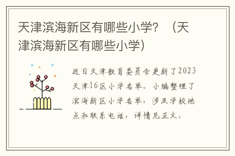 天津滨海新区有哪些小学？（天津滨海新区有哪些小学）