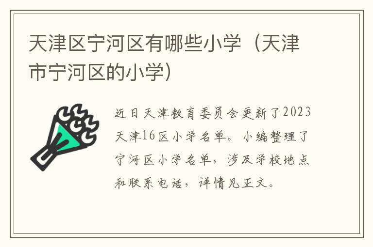 天津区宁河区有哪些小学（天津市宁河区的小学）