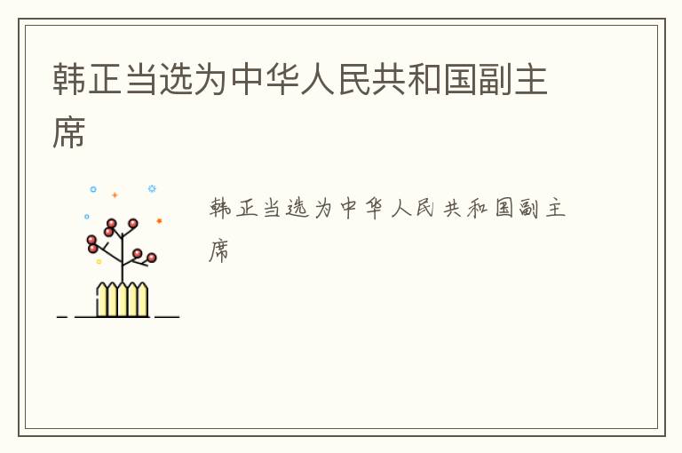 韩正当选为中华人民共和国副主席