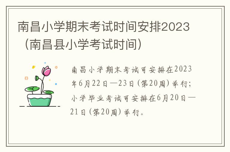南昌小学期末考试时间安排2023（南昌县小学考试时间）