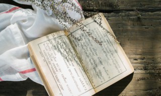 冷清的反义词是什么（冷清的反义词是什么词）