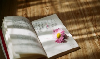 糊涂的反义词是什么（糊里糊涂的反义词）