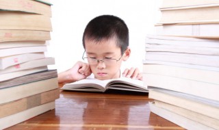 最后一片叶子概括（最后一片叶子概括400字）