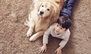 梦见狗丢了预示着什么（梦见狗丢了是啥意思）