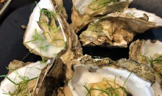 清蒸生蚝里有寄生虫吗 清蒸生蚝有屎吗