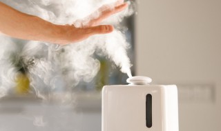 最健康的加湿方式是什么（最健康的加湿方式是什么呢）