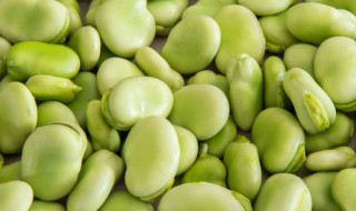 腌蚕豆方法 蚕豆腌菜