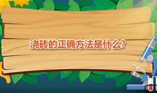 浇砖的正确方法 浇砖原理