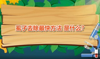 虱子去除最快方法（虱子去除最快方法是什么）